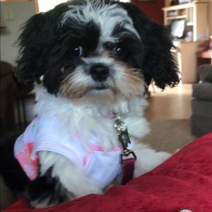 Meet your Posher, Aaron